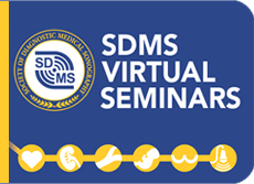 sdms-virtual-seminars
